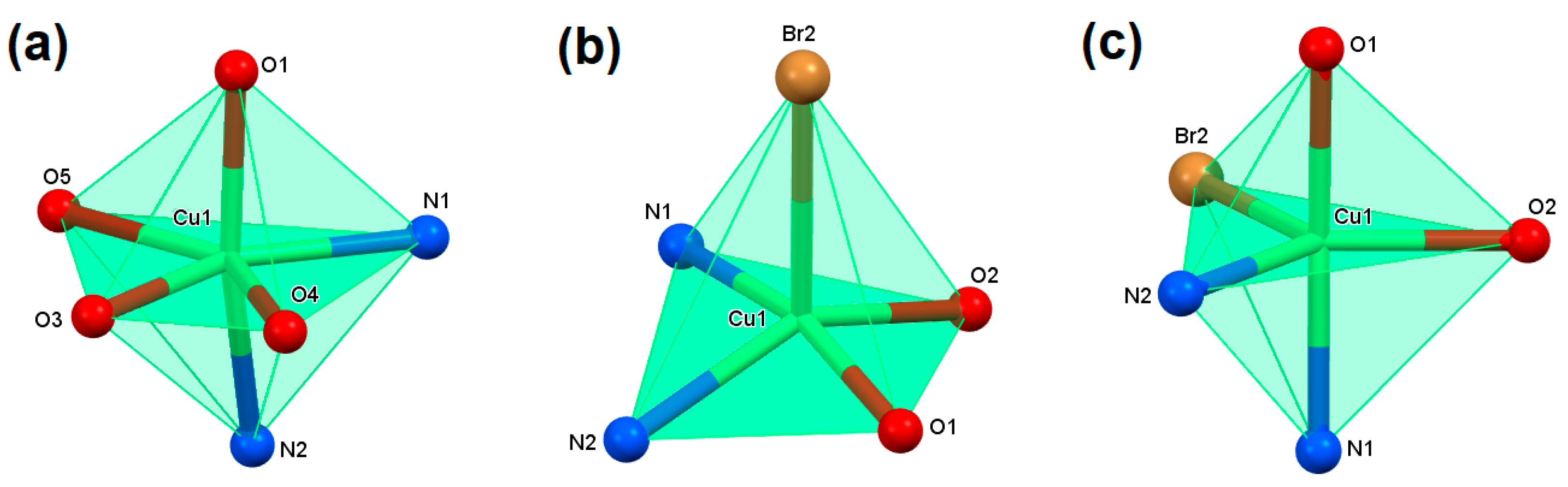 Molecules 25 05324 g002