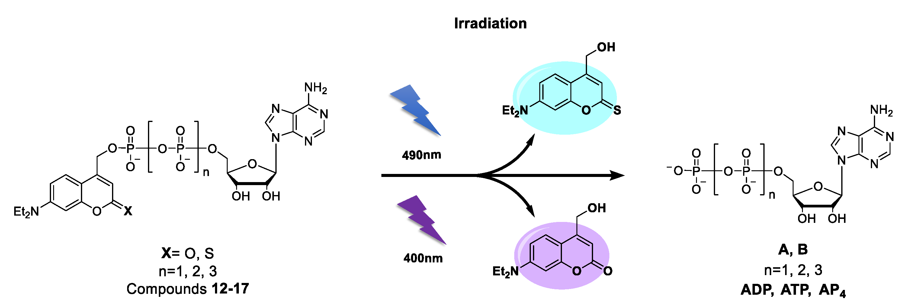 Molecules 25 05325 sch001