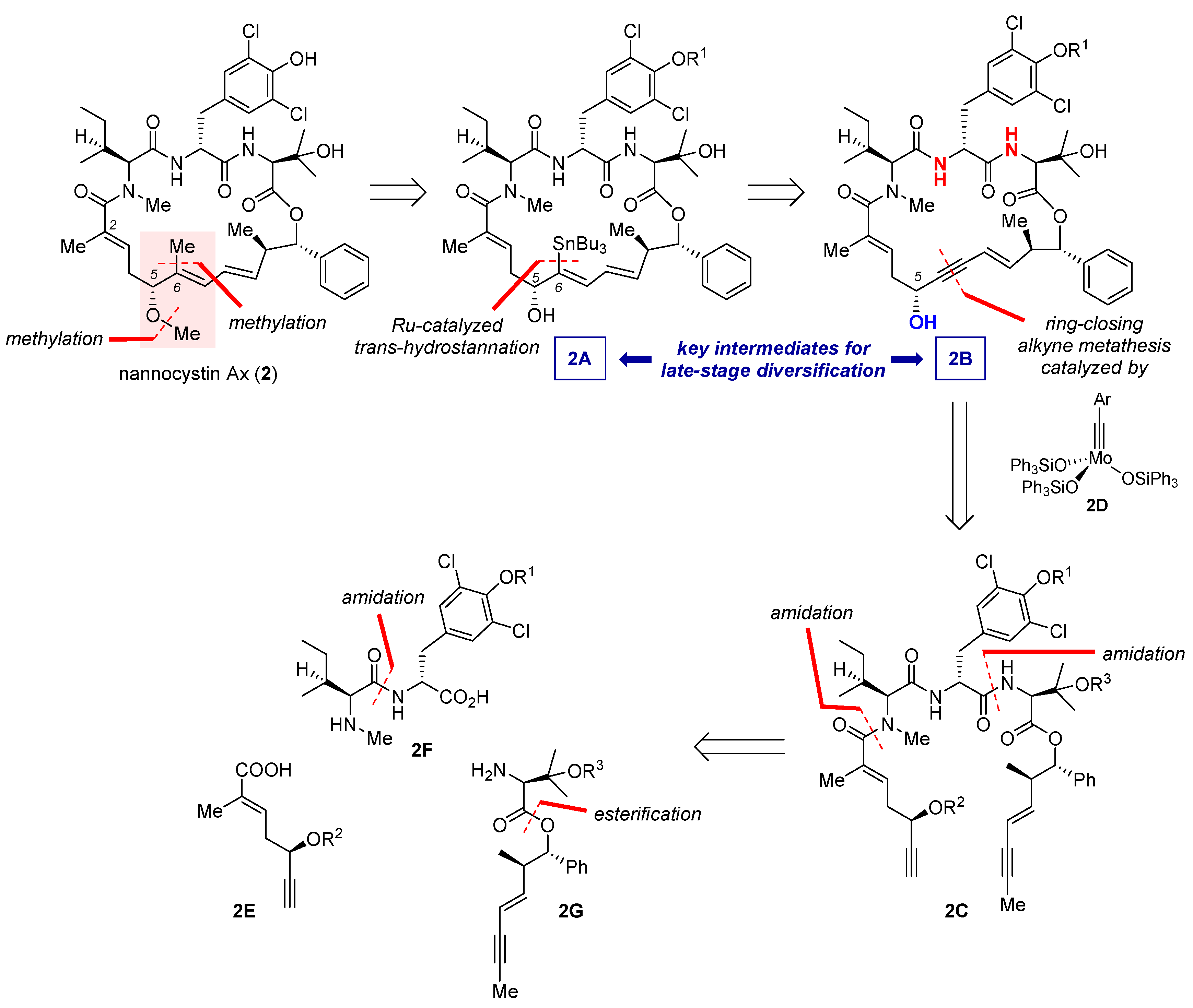 Molecules 25 05327 g003 Molecules 25 05327 g003