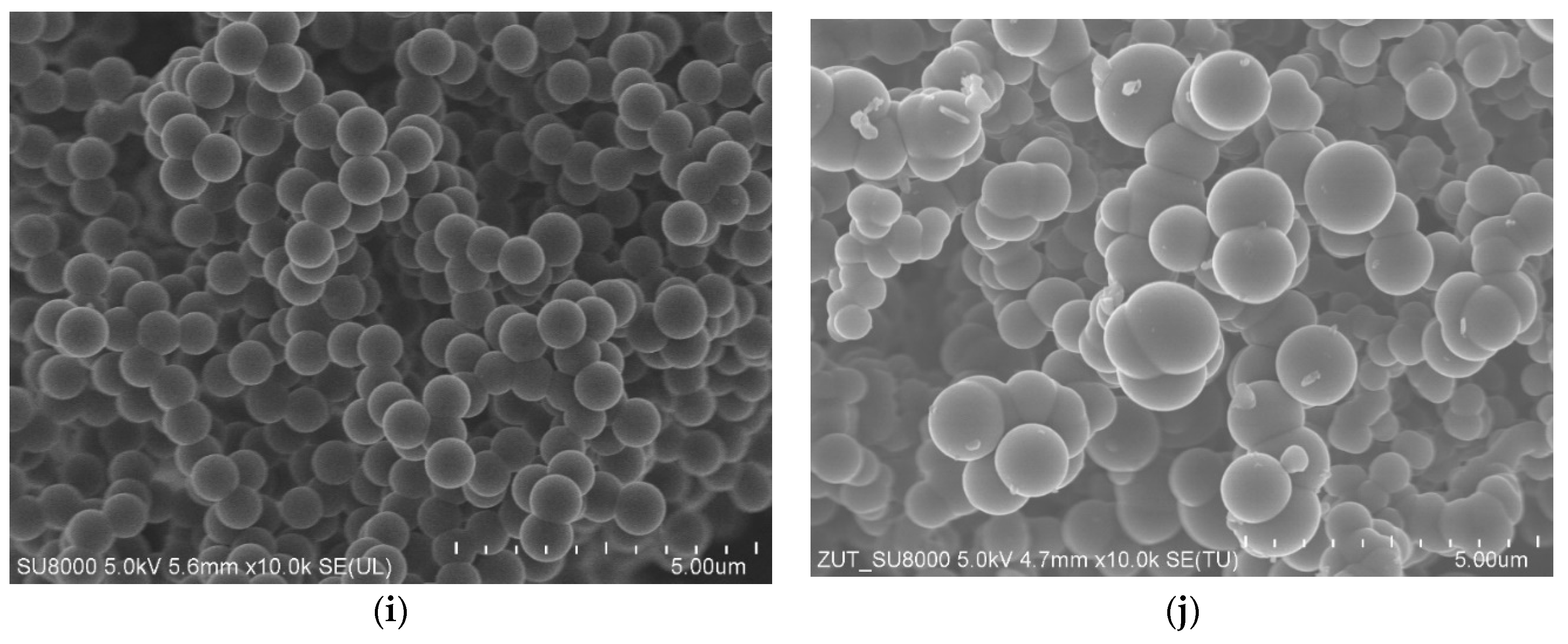 Molecules 25 05328 g001b Molecules 25 05328 g001b