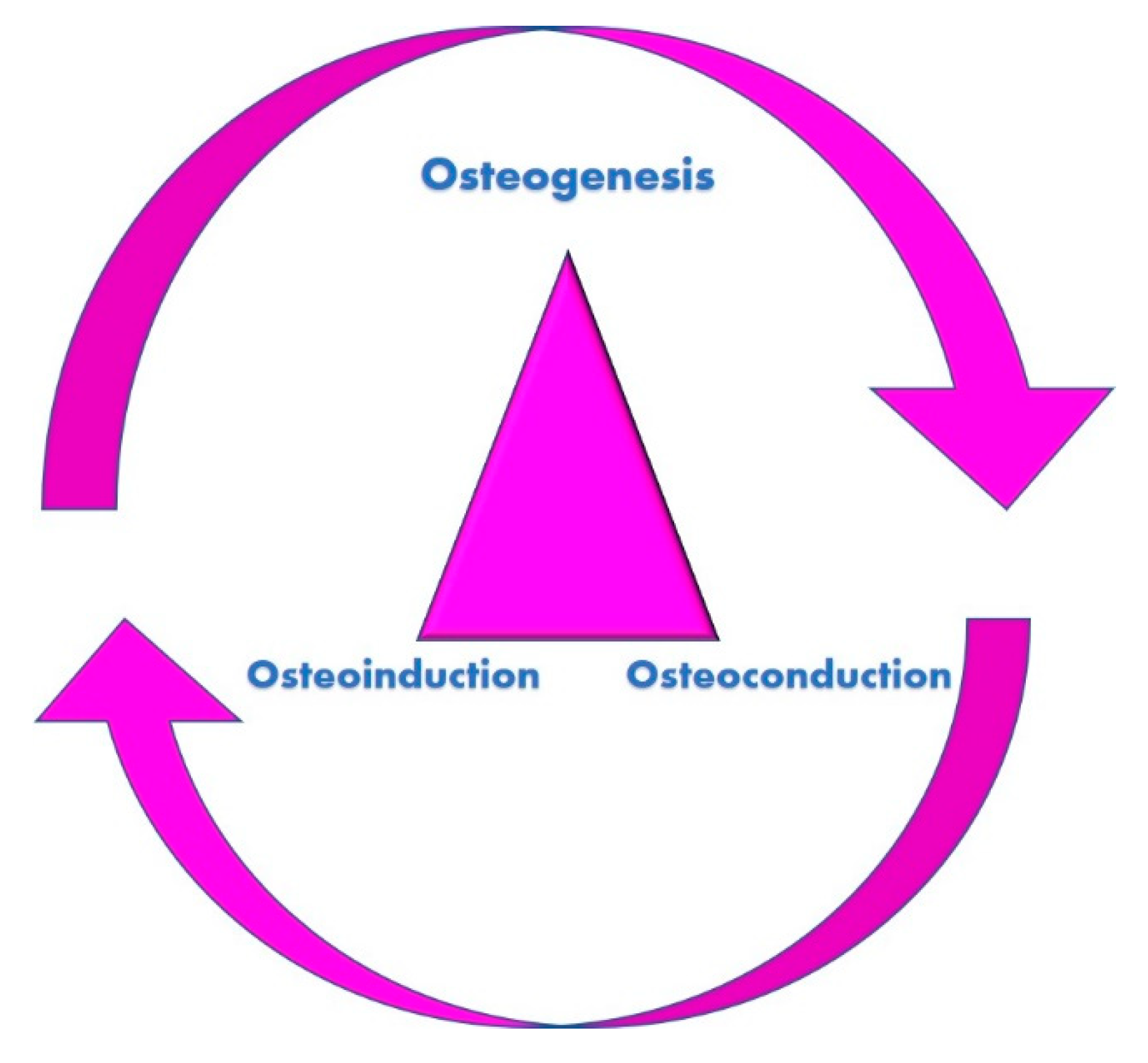 Molecules 25 05330 g001 Molecules 25 05330 g001