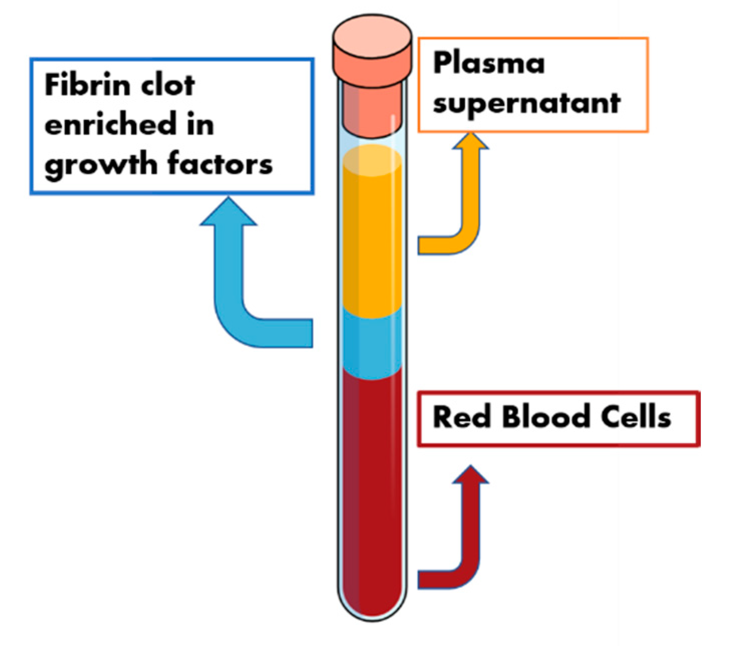 Molecules 25 05330 g003 Molecules 25 05330 g003