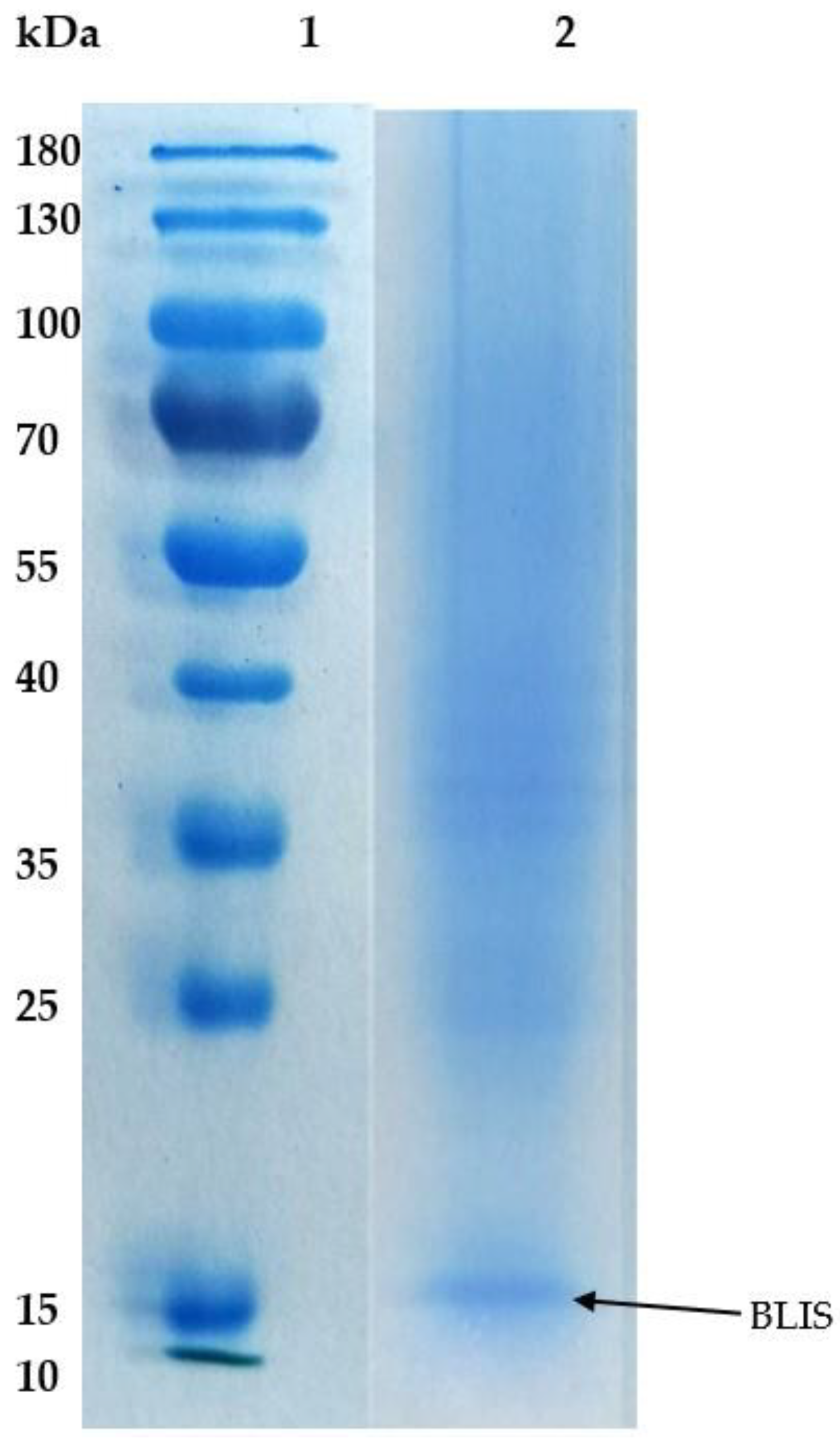 Molecules 25 05332 g004 Molecules 25 05332 g004