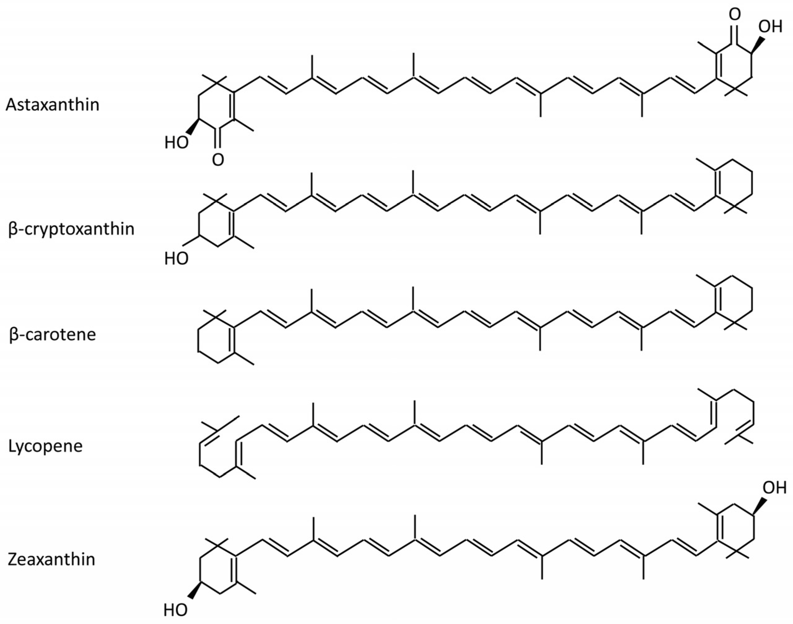 Molecules 25 05342 g001