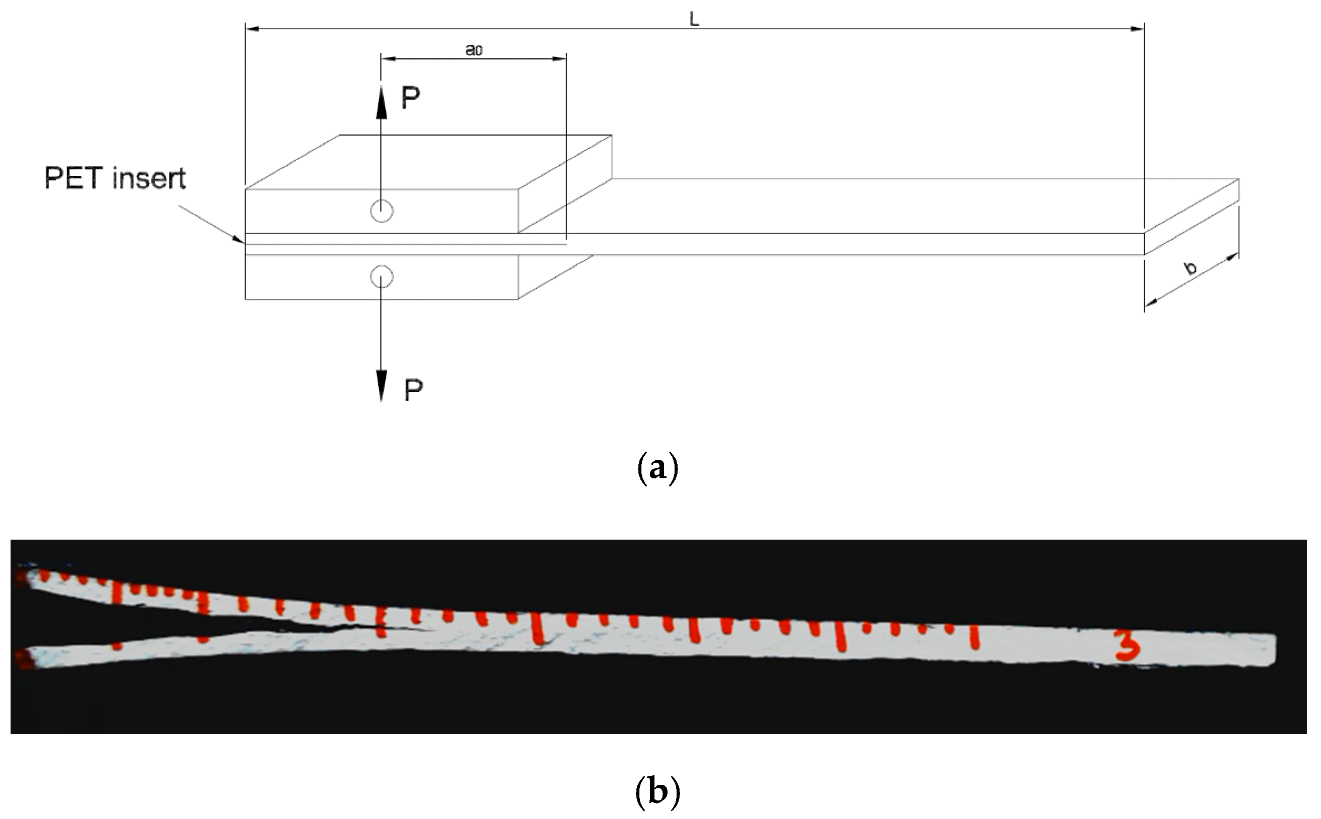 Molecules 25 05347 g002
