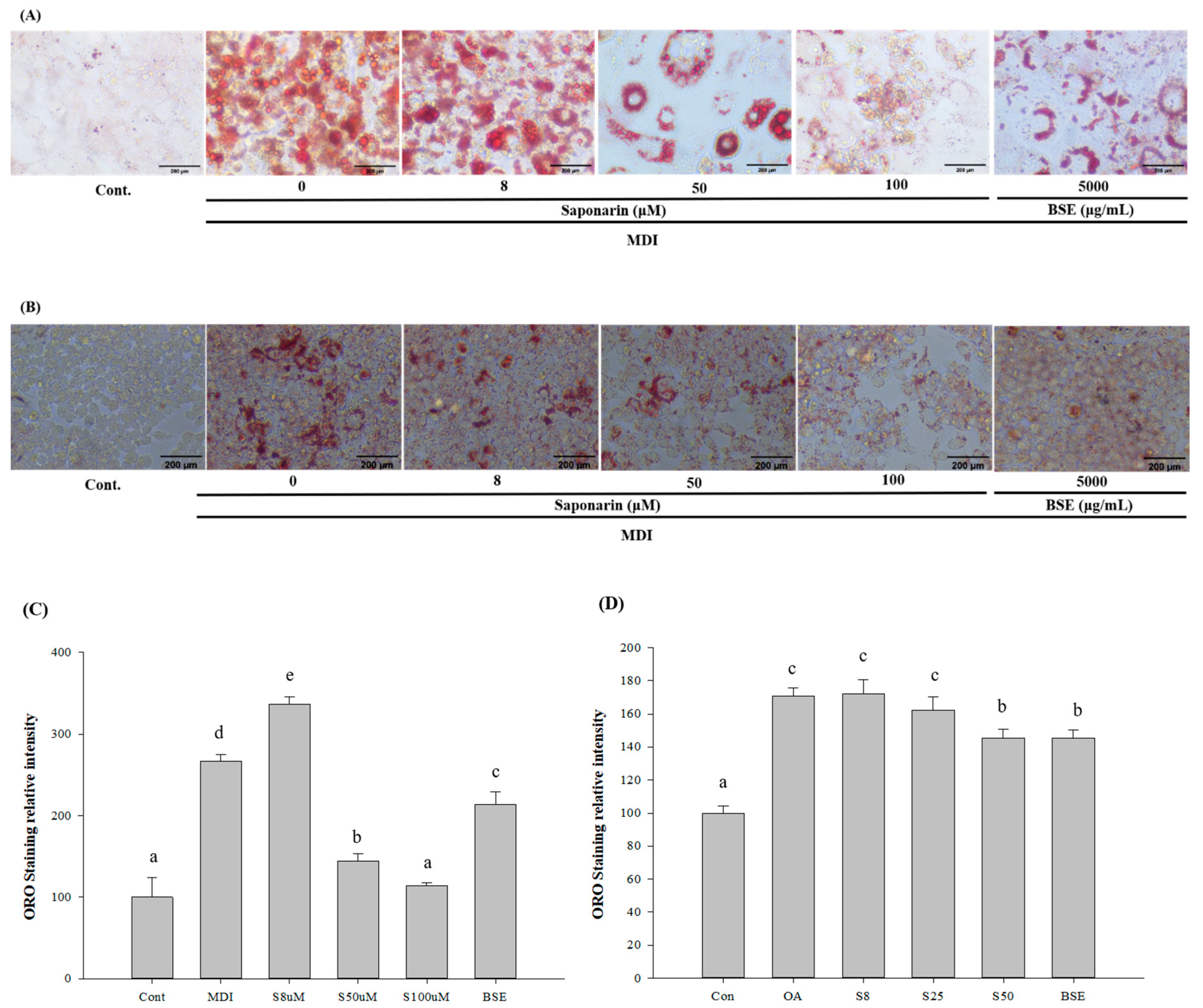 Molecules Free Full Text Comparative Study Of The Effects Of Light Controlled Germination Conditions On Saponarin Content In Barley Sprouts And Lipid Accumulation Suppression In Hepg2 Hepatocyte And 3t3 L1 Adipocyte Cells