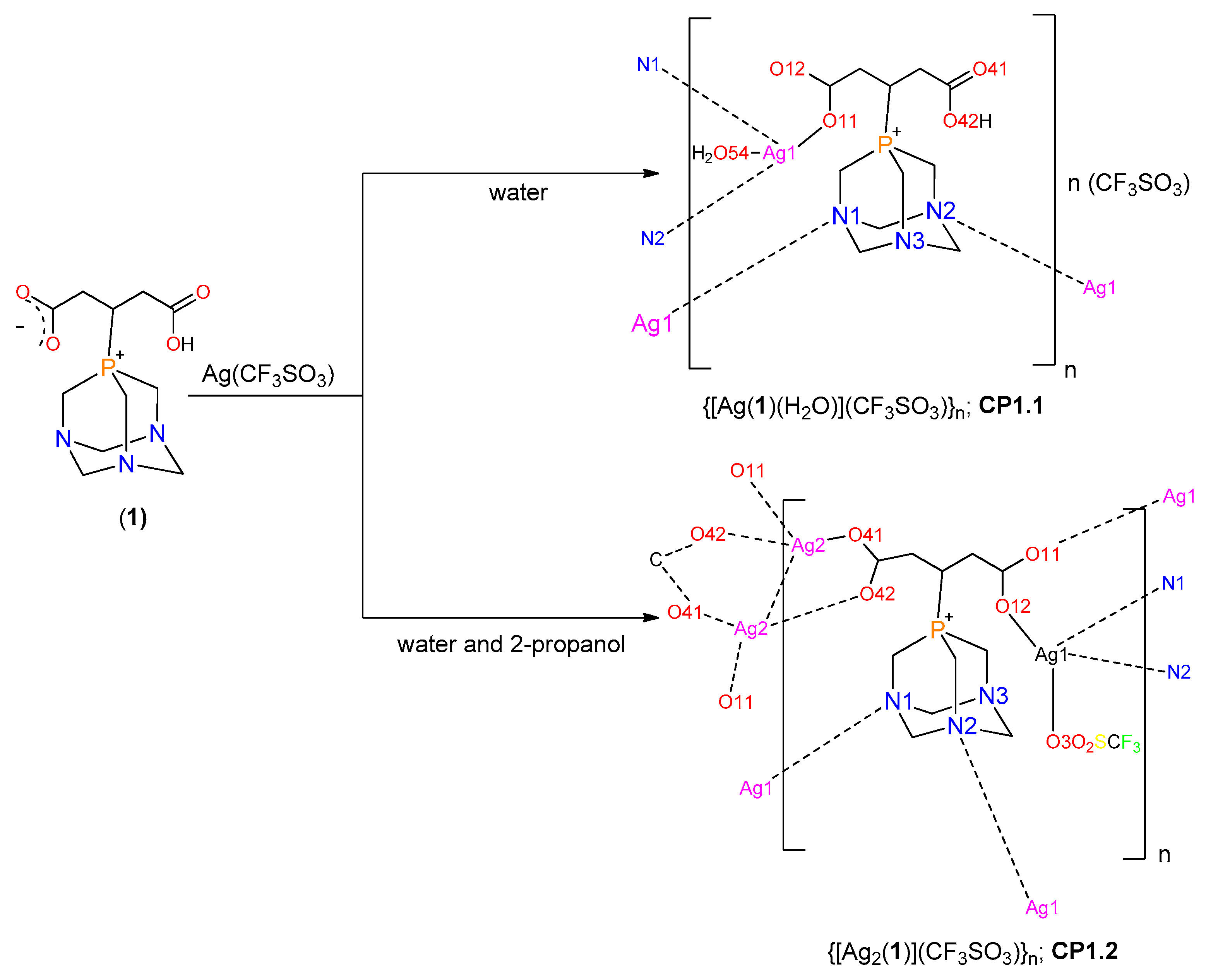Molecules 25 05352 sch001 Molecules 25 05352 sch001