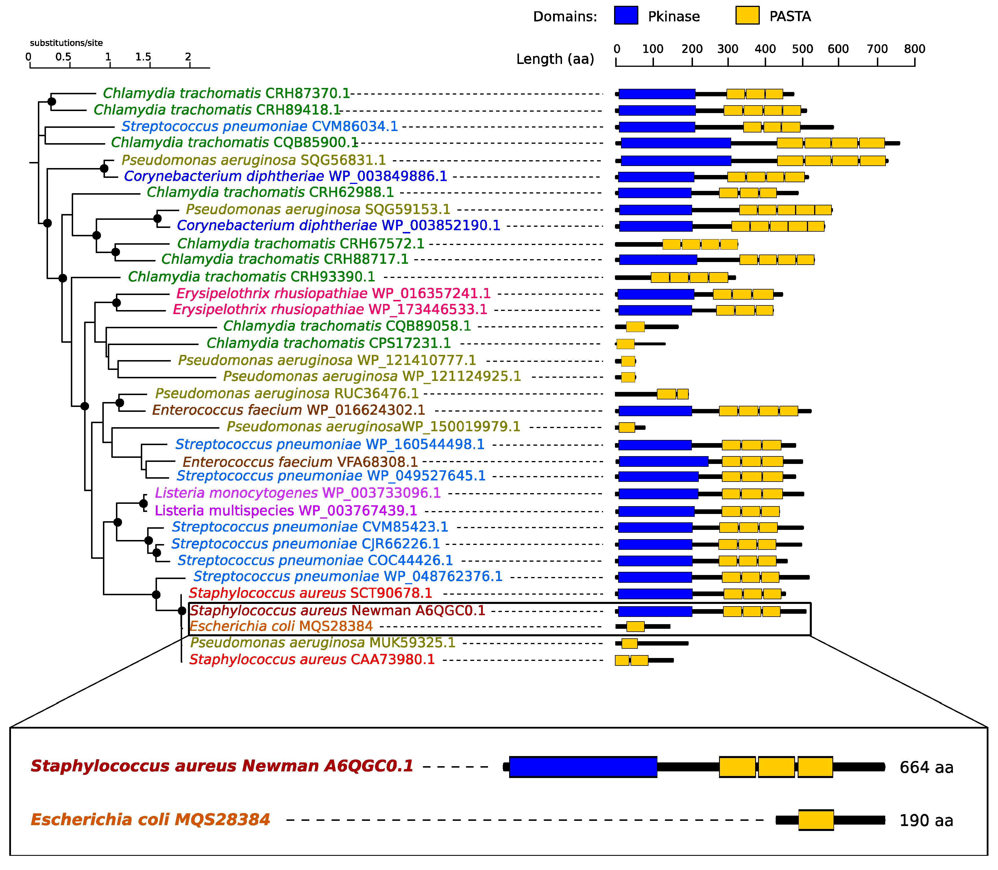 Molecules 25 05354 g002 Molecules 25 05354 g002