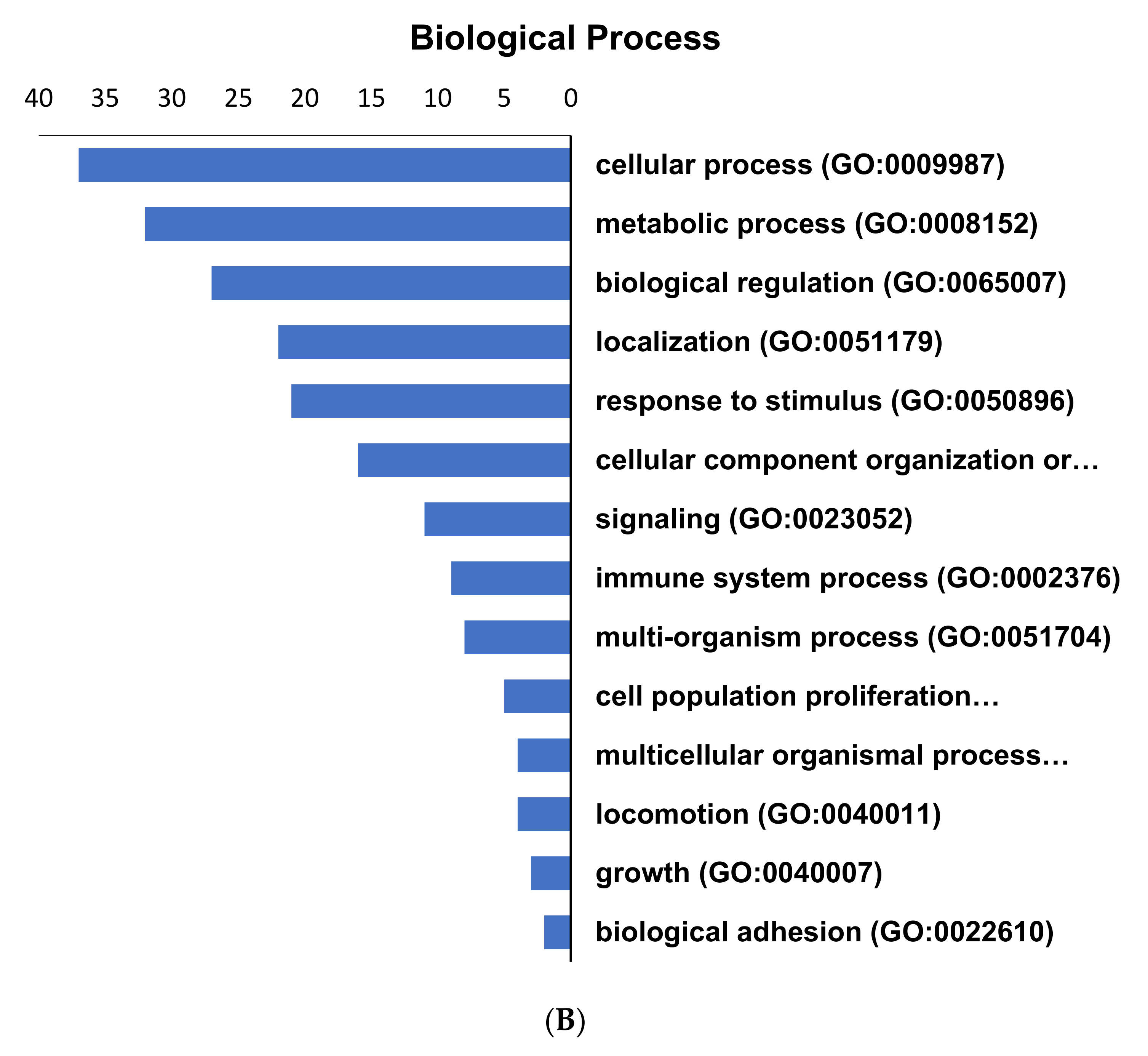 Molecules 25 05355 g002b Molecules 25 05355 g002b