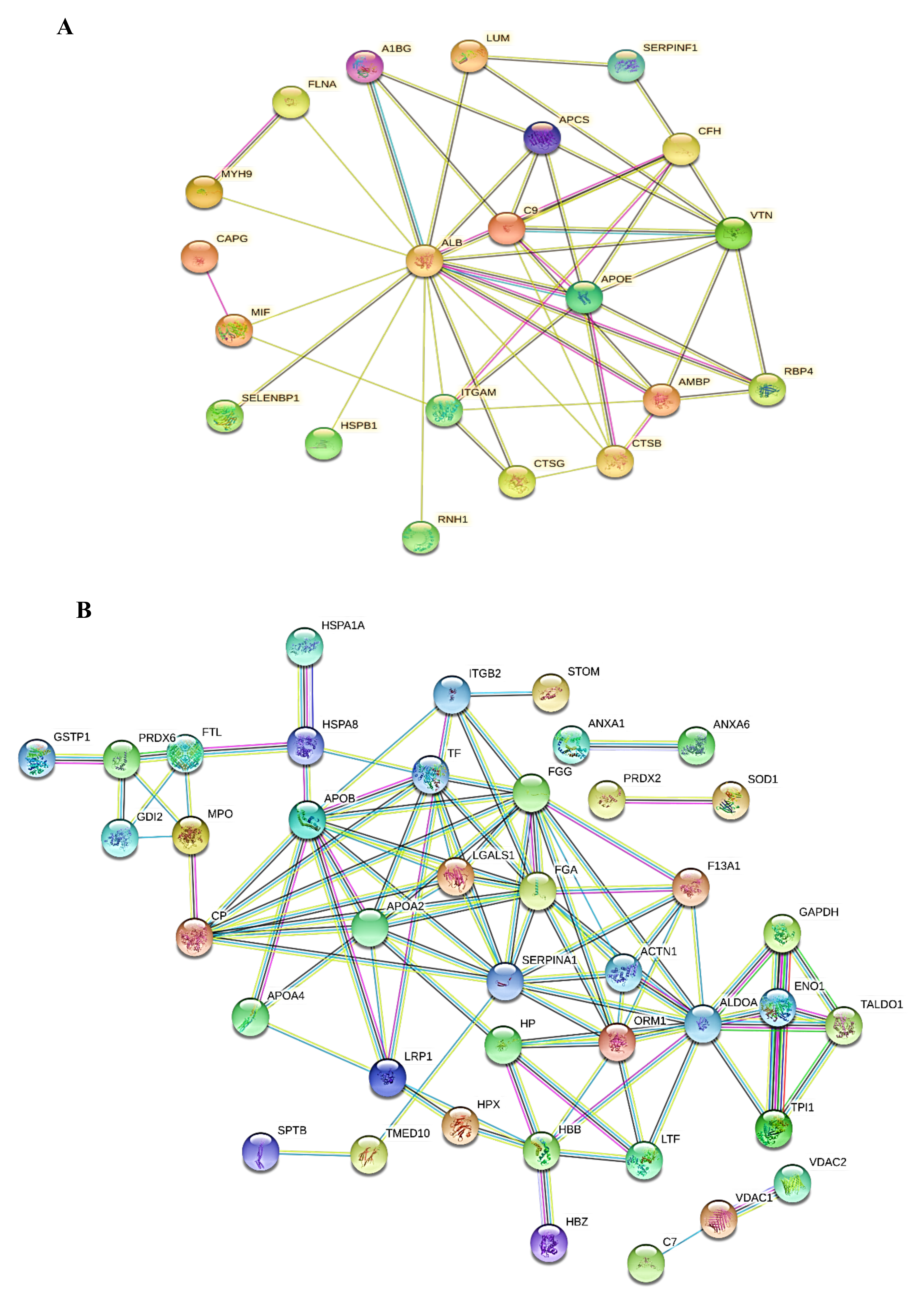 Molecules 25 05355 g006 Molecules 25 05355 g006