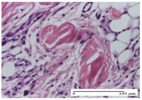 Molecules 25 05356 i004 Molecules 25 05356 i004