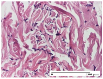 Molecules 25 05356 i006 Molecules 25 05356 i006