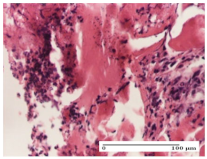 Molecules 25 05356 i007 Molecules 25 05356 i007