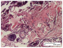 Molecules 25 05356 i008 Molecules 25 05356 i008