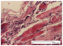 Molecules 25 05356 i009 Molecules 25 05356 i009