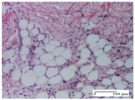 Molecules 25 05356 i011 Molecules 25 05356 i011