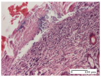 Molecules 25 05356 i012 Molecules 25 05356 i012