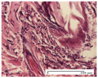 Molecules 25 05356 i015 Molecules 25 05356 i015