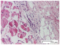 Molecules 25 05356 i018 Molecules 25 05356 i018