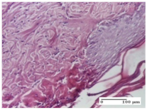Molecules 25 05356 i021 Molecules 25 05356 i021