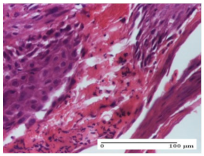 Molecules 25 05356 i024 Molecules 25 05356 i024