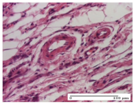 Molecules 25 05356 i025 Molecules 25 05356 i025