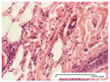 Molecules 25 05356 i026 Molecules 25 05356 i026