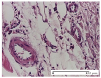 Molecules 25 05356 i027 Molecules 25 05356 i027