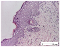 Molecules 25 05356 i028 Molecules 25 05356 i028