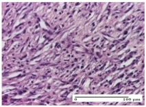 Molecules 25 05356 i029 Molecules 25 05356 i029