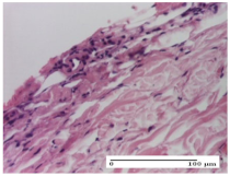 Molecules 25 05356 i030 Molecules 25 05356 i030