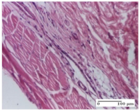 Molecules 25 05356 i031 Molecules 25 05356 i031