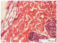 Molecules 25 05356 i034 Molecules 25 05356 i034