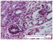 Molecules 25 05356 i037 Molecules 25 05356 i037