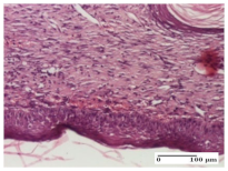 Molecules 25 05356 i038 Molecules 25 05356 i038