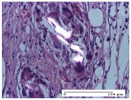 Molecules 25 05356 i040 Molecules 25 05356 i040