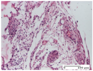Molecules 25 05356 i043 Molecules 25 05356 i043