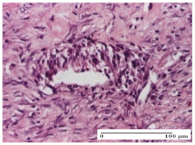 Molecules 25 05356 i044 Molecules 25 05356 i044