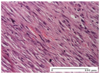 Molecules 25 05356 i047 Molecules 25 05356 i047