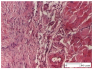 Molecules 25 05356 i048 Molecules 25 05356 i048