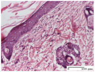 Molecules 25 05356 i049 Molecules 25 05356 i049