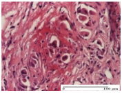 Molecules 25 05356 i050 Molecules 25 05356 i050