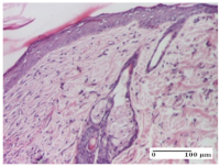 Molecules 25 05356 i052 Molecules 25 05356 i052