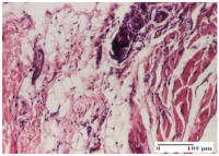 Molecules 25 05356 i056 Molecules 25 05356 i056