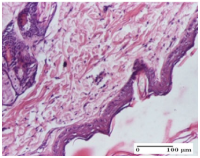 Molecules 25 05356 i060 Molecules 25 05356 i060
