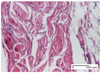 Molecules 25 05356 i061 Molecules 25 05356 i061