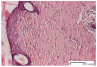 Molecules 25 05356 i063 Molecules 25 05356 i063