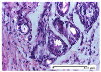 Molecules 25 05356 i064 Molecules 25 05356 i064