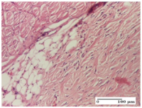 Molecules 25 05356 i066 Molecules 25 05356 i066