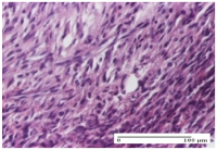 Molecules 25 05356 i067 Molecules 25 05356 i067